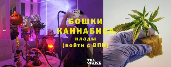 PSILOCYBIN Краснослободск