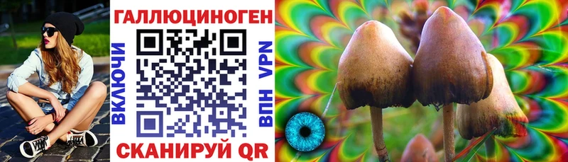 Галлюциногенные грибы ЛСД Лысьва